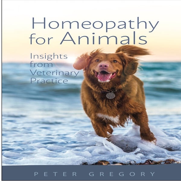 Helios Homeopathy Shop Homeopathy for Animals Insights from
