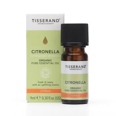 Clary Sage Essential Oil (Non-GMO) | Shay and Company